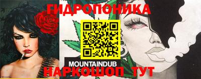 мяу мяу мука Краснознаменск