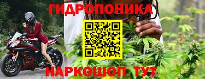 сатива Кулебаки