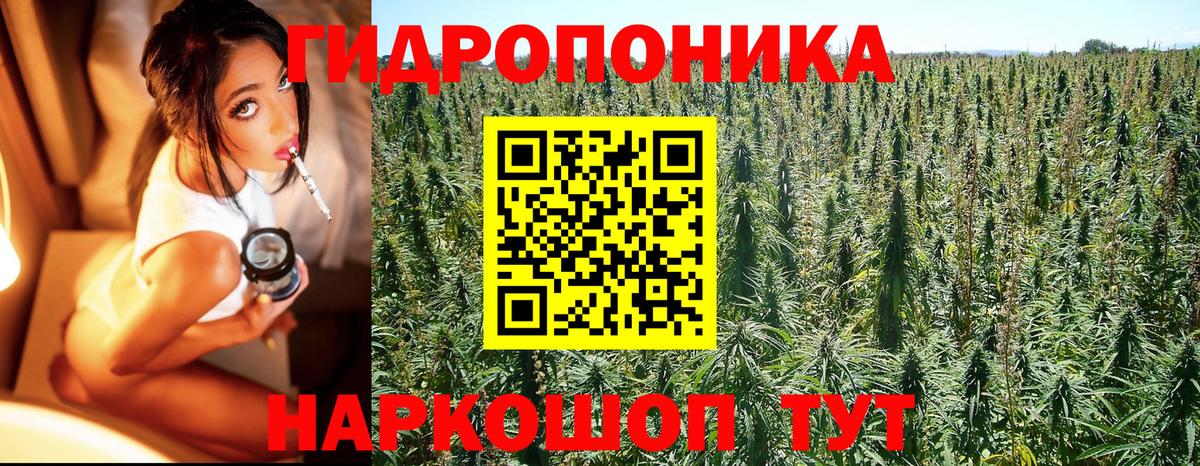Конопля AK-47  Каннабис план  Вход с VPN  Изобильный  Канабис Amnesia  Бошки Шишки SATIVA & INDICA 